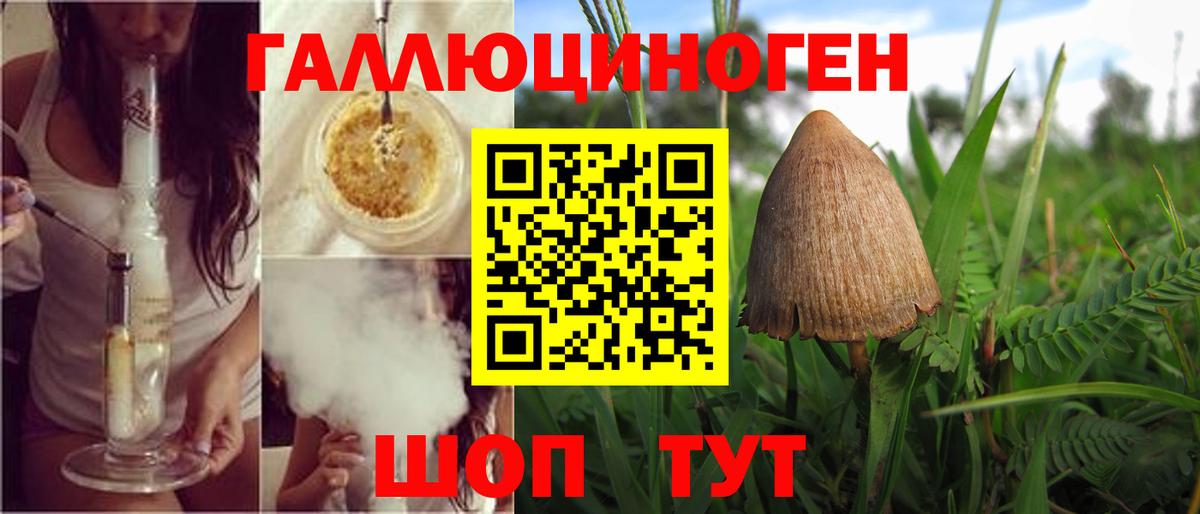 даркнет сайт  Псилоцибиновые грибы GOLDEN TEACHER  Вход с VPN  Когалым  Галлюциногенные грибы GOLDEN TEACHER 