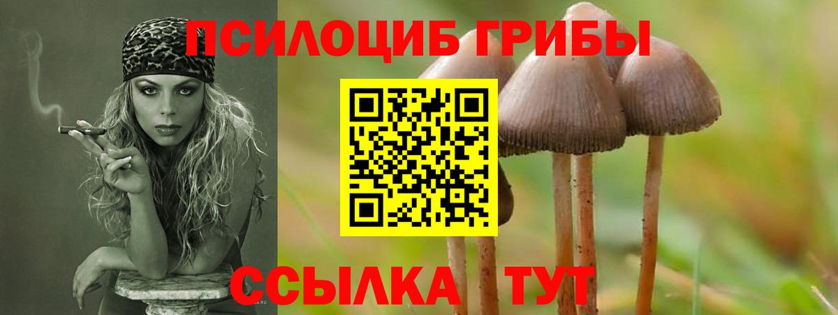 Галлюциногенные грибы мицелий Когалым